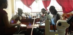 Inducción a estudiantes de semillero en el trabajo de laboratorio