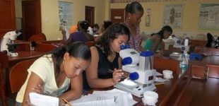 Curso: Introducción a la entomología medica