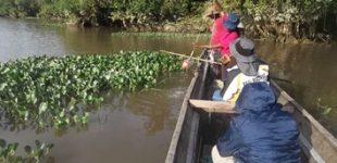 Salida de campo a la ciénaga de Plaza seca (Sanceno-Quibdó)